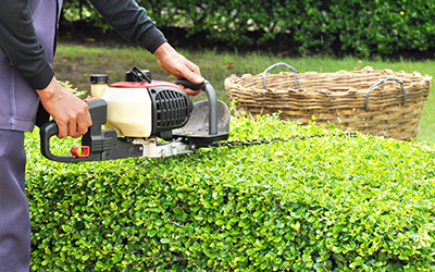 Hedge-Trimming