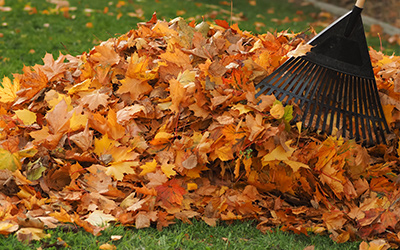 Category-Fall-and-Leaf-Cleanup